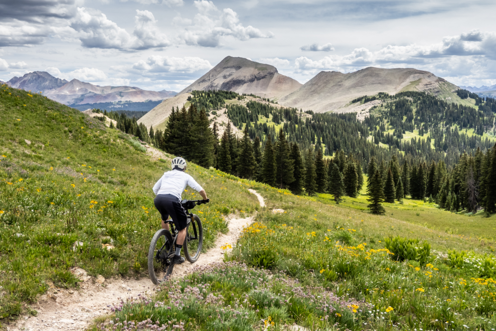 Deep Summer in the Durango High Country